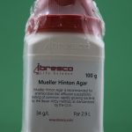 Mueller Hinton Agar