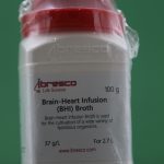 Brain Heart Infusion Broth